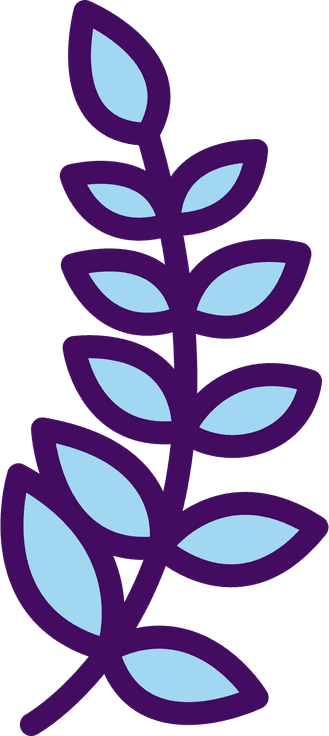 Freshness You Can Taste